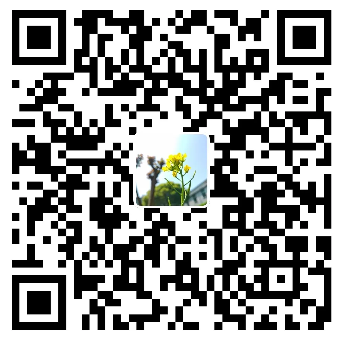 Alipay